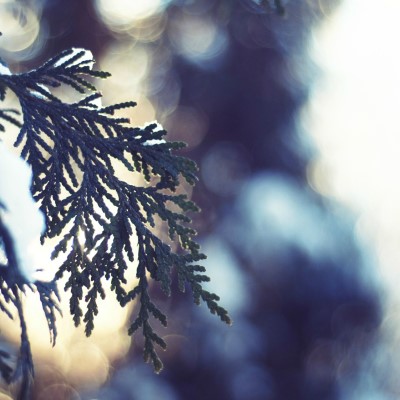 1920 x 1080 HD Wallpapers 3235